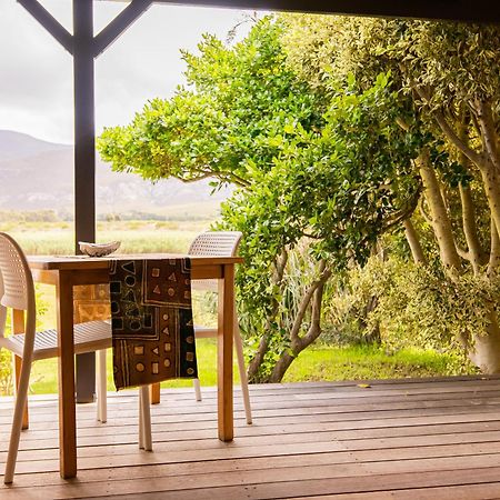 Springfontein River Lodge Stanford Zewnętrze zdjęcie
