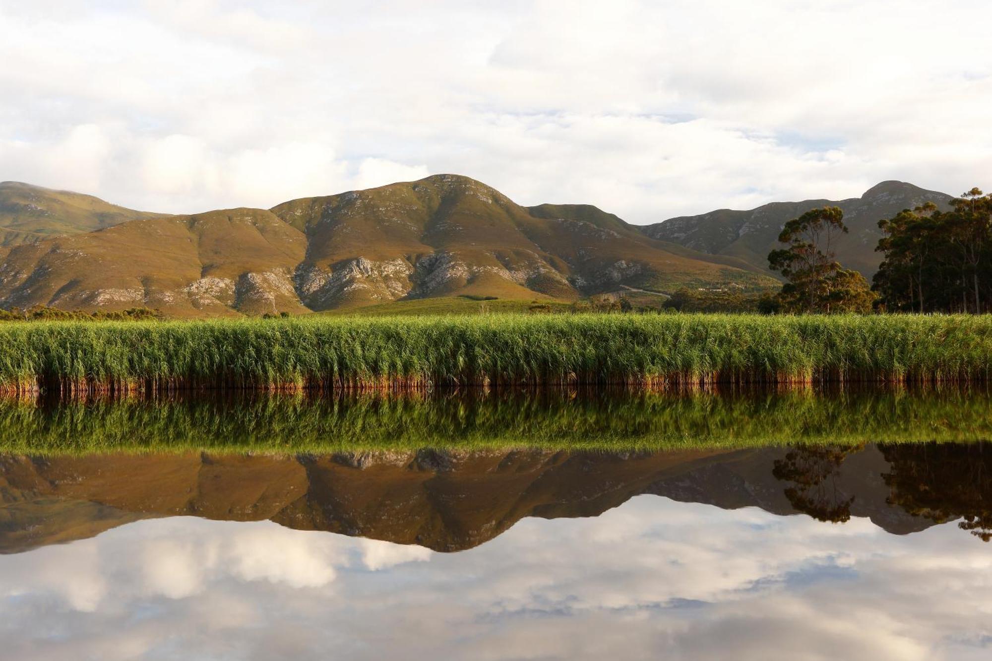 Springfontein River Lodge Stanford Zewnętrze zdjęcie