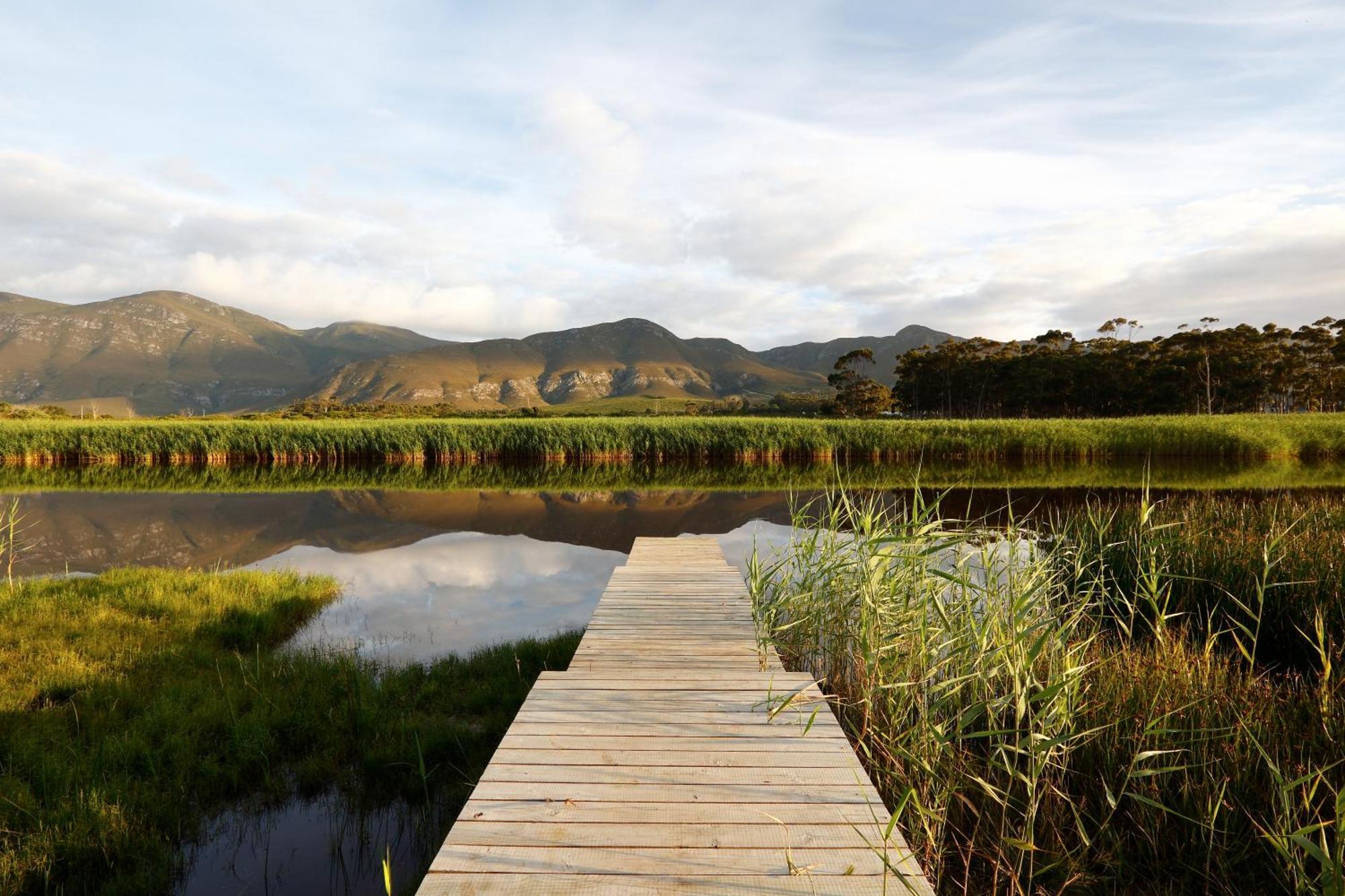 Springfontein River Lodge Stanford Zewnętrze zdjęcie